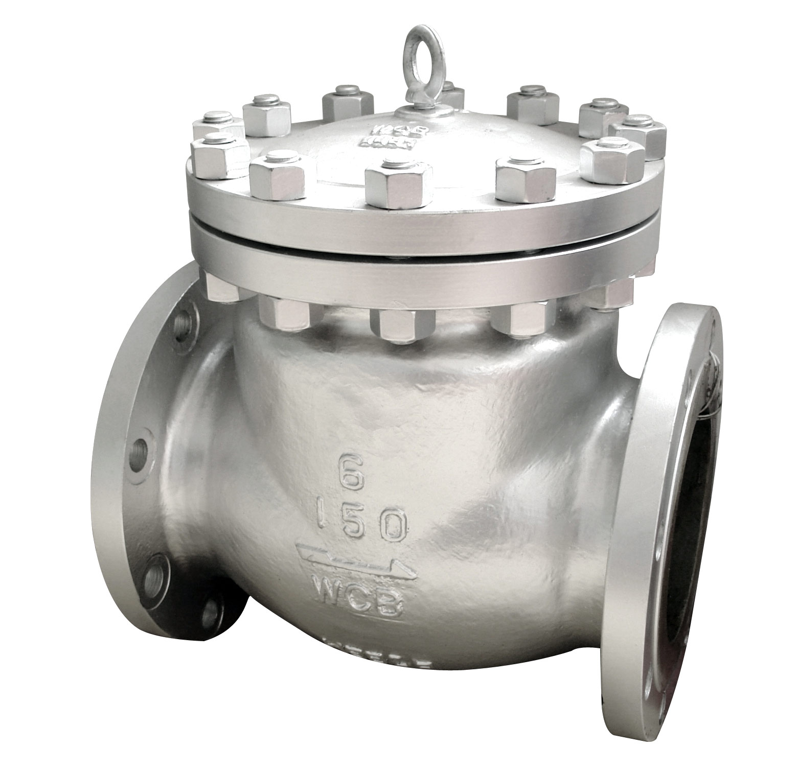 Cast Steel Check Valve W.C.B